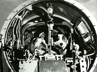 Illustration for article titled The First Animals In Space